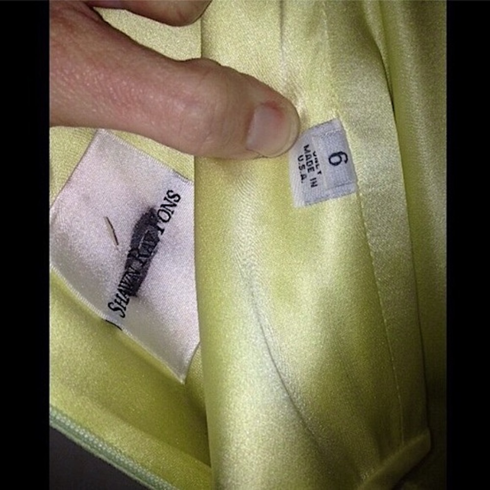 Shawn Ray Fons Light Green Silk Gown - Picture 2 of 4